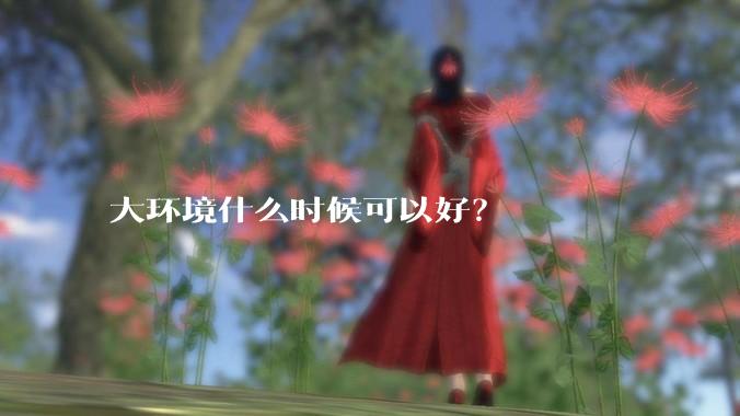 大环境什么时候可以好？